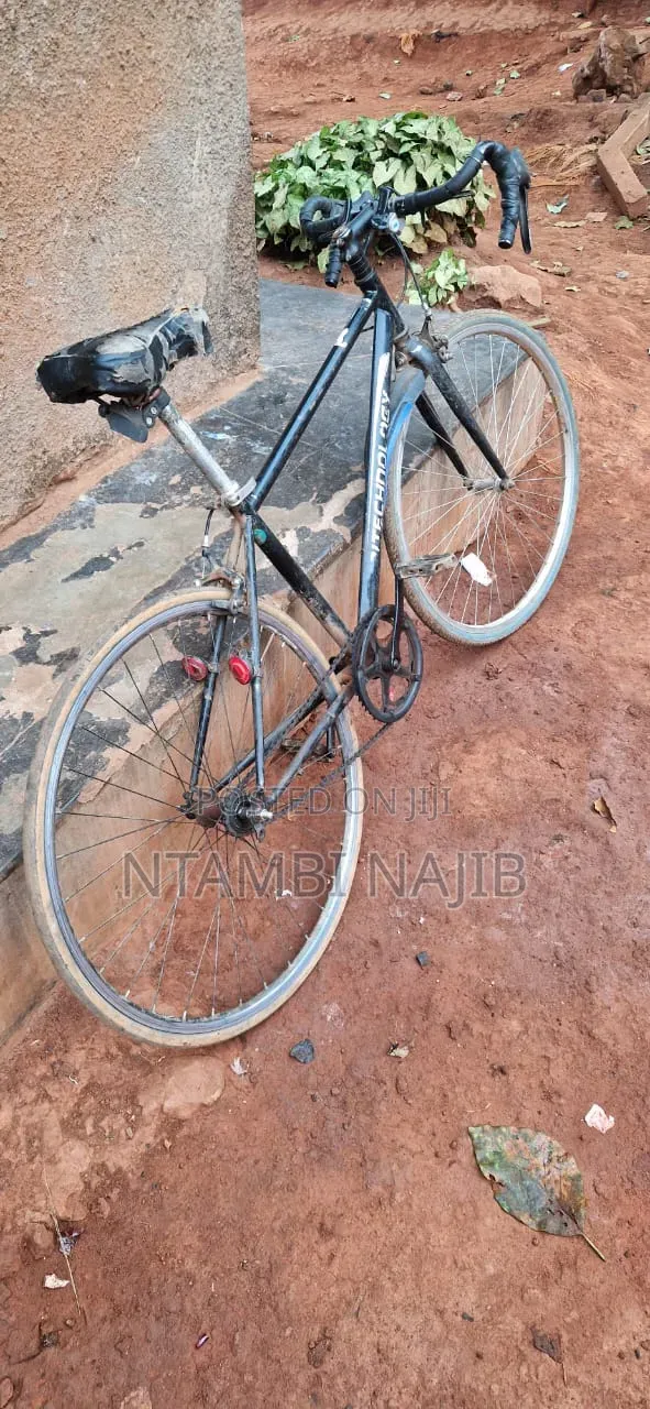 Sport Bicycle