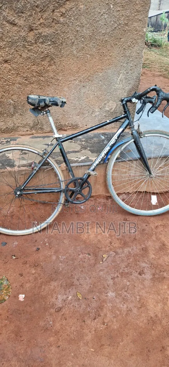 Sport Bicycle