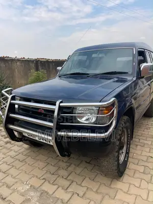 Mitsubishi Pajero 1993 Blue