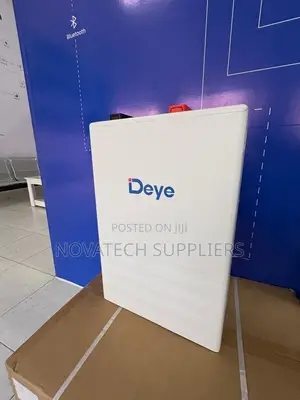 High Performance Deye 51.2V 100Ah Solar Lithium Battery
