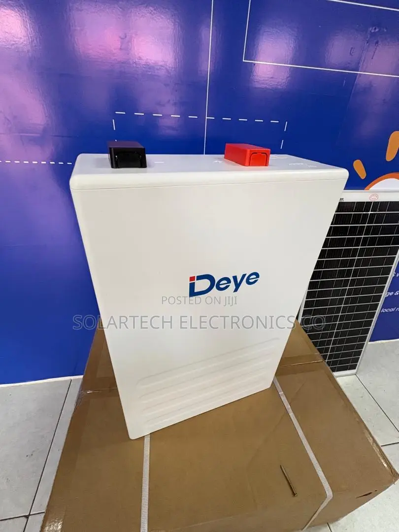 High Performance Deye 51.2V 100Ah Solar Lithium Battery
