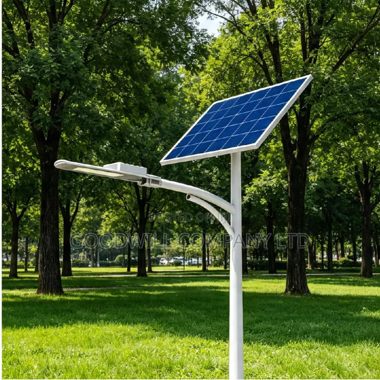 600w Blue Carbon Sword Solar Street Light