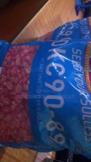 DKC 9089 Maize Seeds
