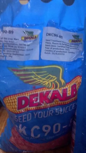 DKC 9089 Maize Seeds