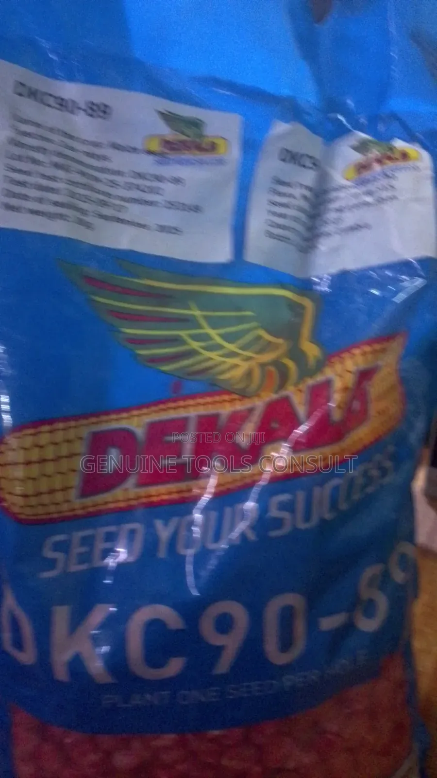 DKC 9089 Maize Seeds