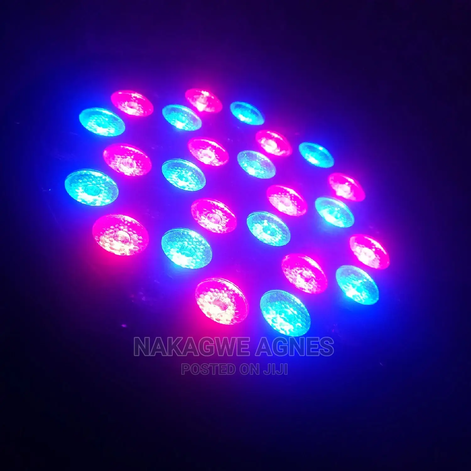 Par Lights - 36 Bulbs