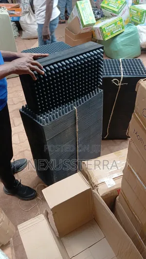 Seedling Trays