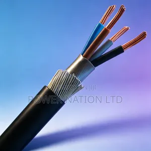 2.5mm Total 4core Pure Copper Armored Underground Cable