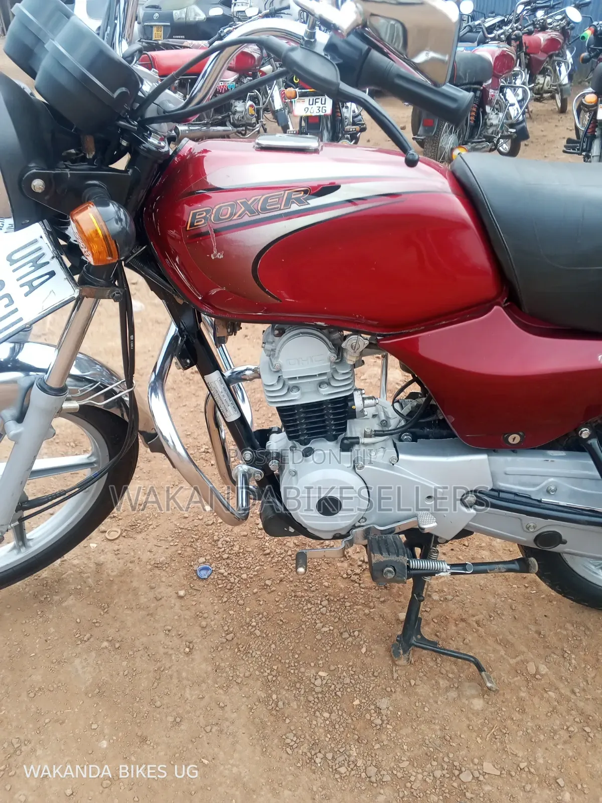 Bajaj Boxer 100 2025 Red