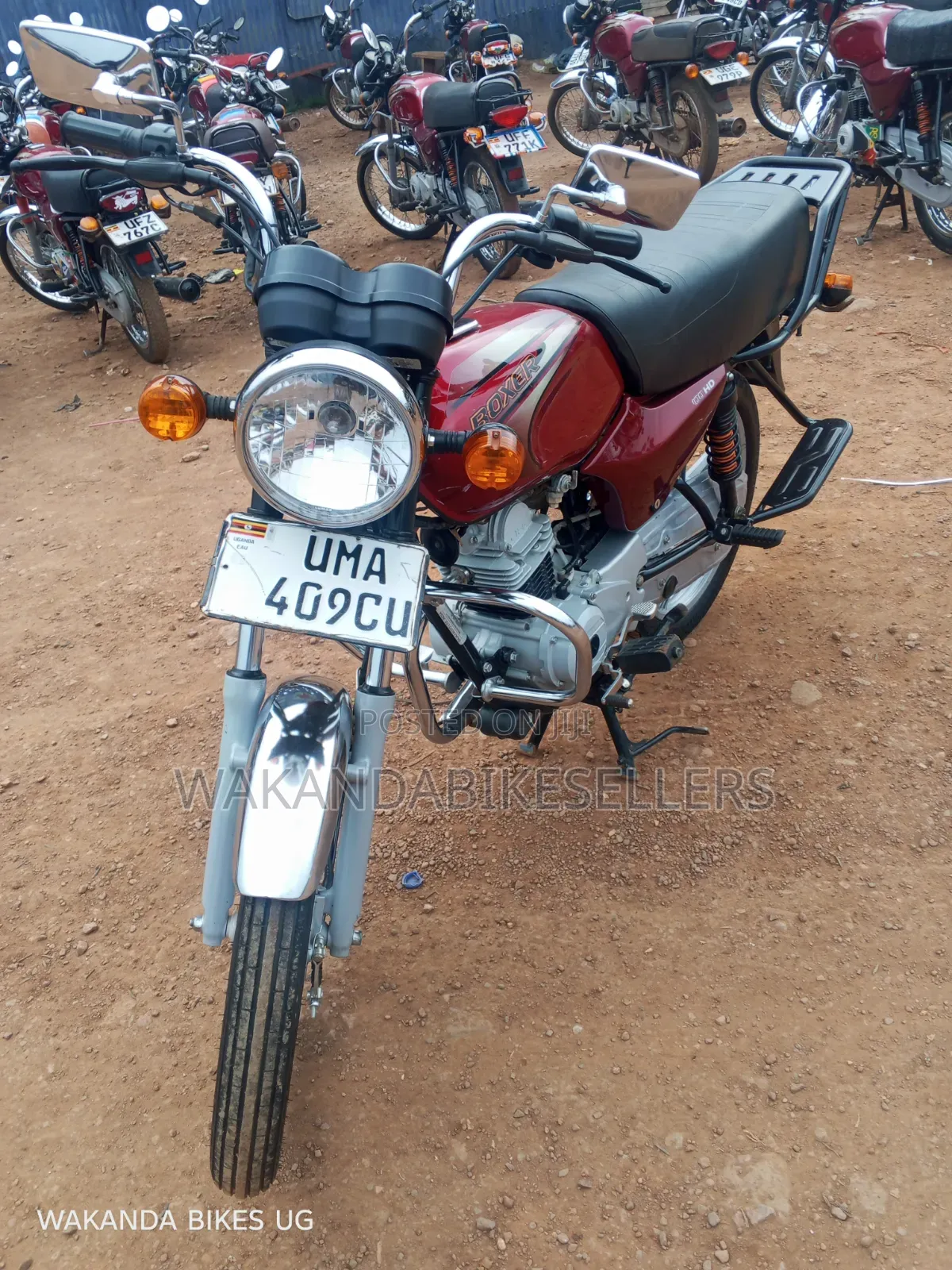 Bajaj Boxer 100 2025 Red