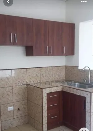Interior Wardrobe and Kitchen Cabinets