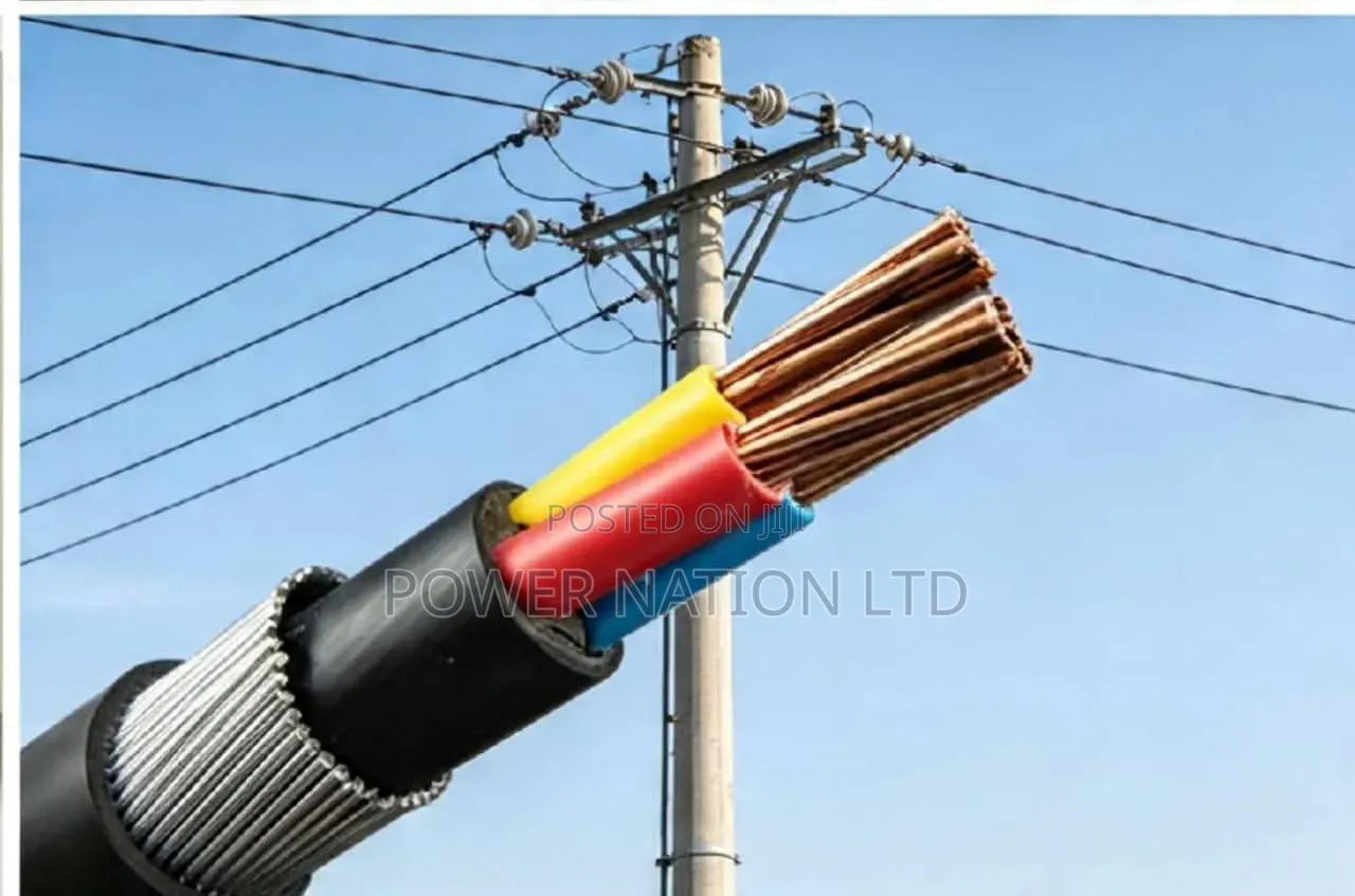 4mm 3 Core Armoured/Underground Cable