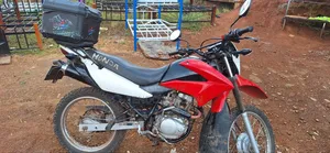 Honda XL 125 2019 Red