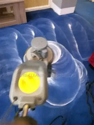 Carpet Cleaning