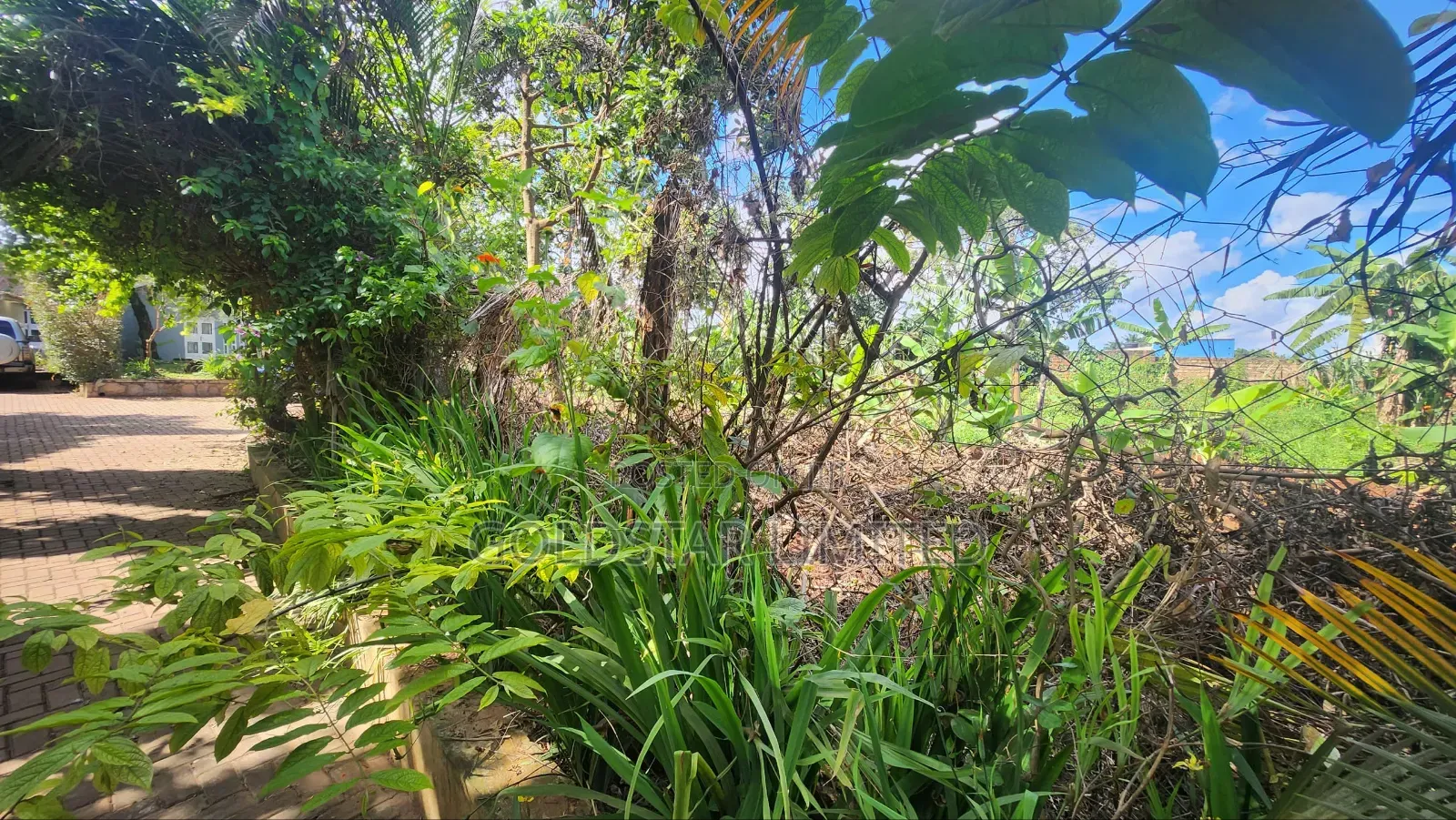 Commercial Land