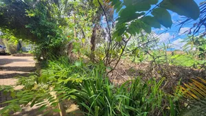 Commercial Land