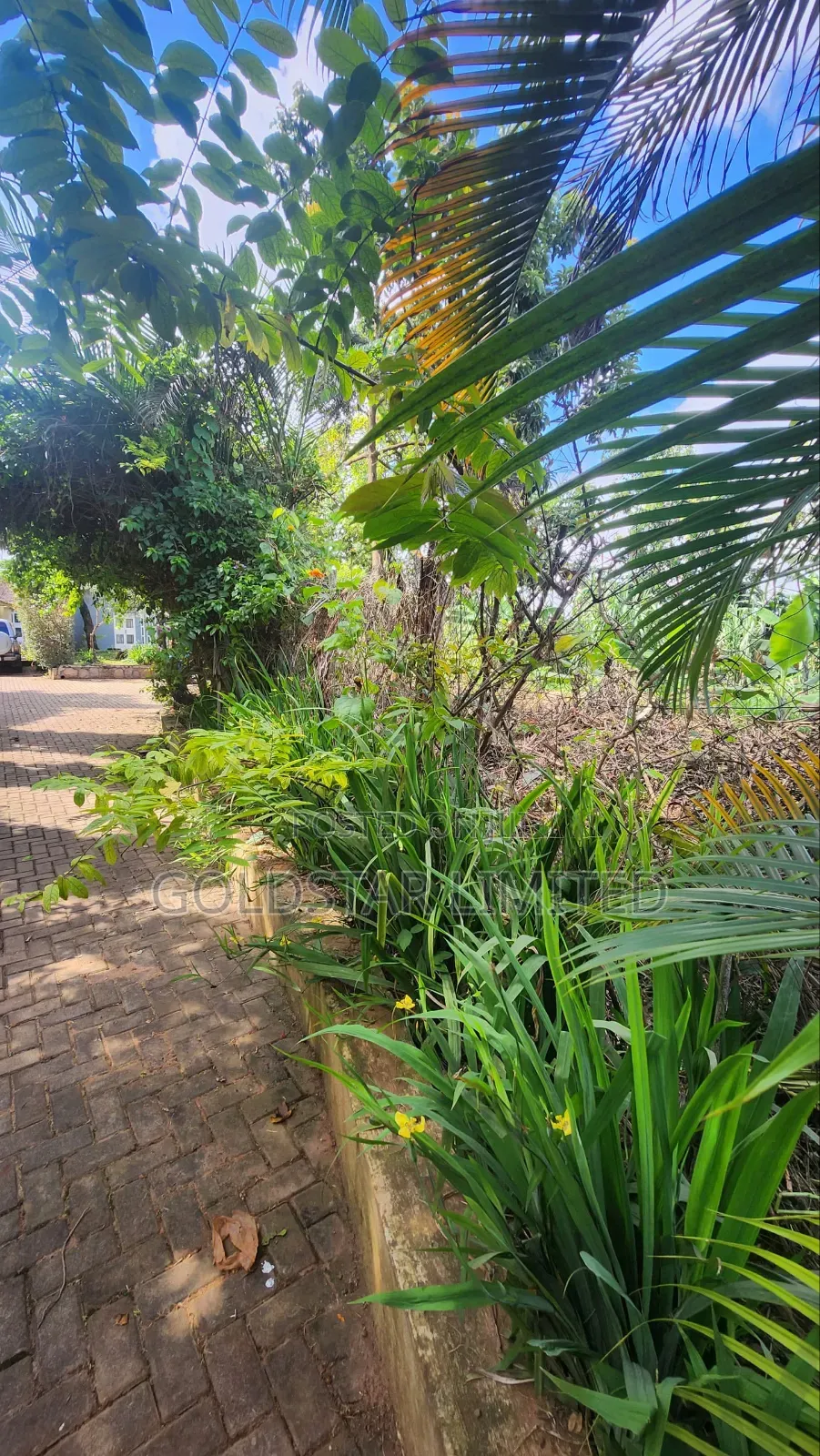 Commercial Land