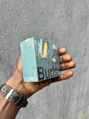 Samsung Pods Plus