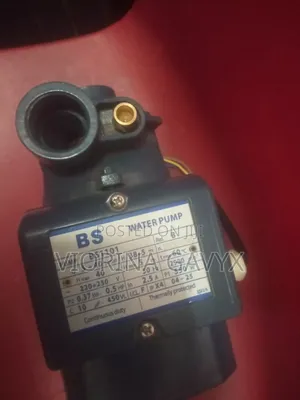 BS Water Pump
