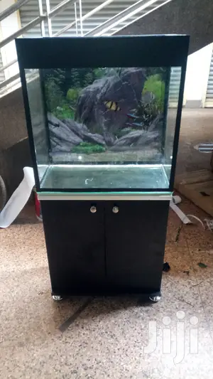 Beautiful Aquariums From Aqua 2000