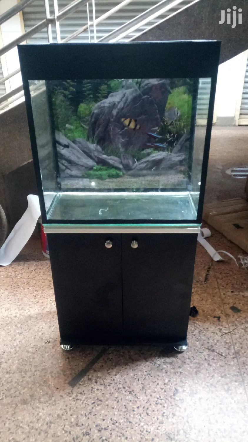 Beautiful Aquariums From Aqua 2000