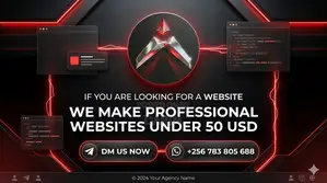 We Make Professional Websites Under 50 Usd a Year