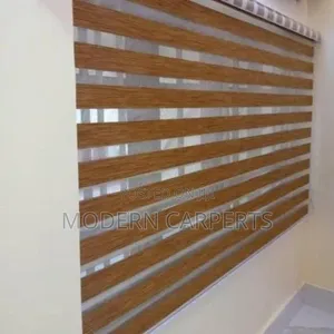 Viz Executive Zebra Blinds