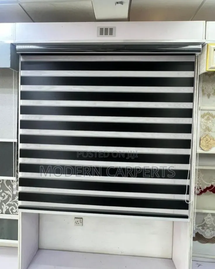 Viz Executive Zebra Blinds