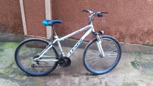 Mountain Bicycle