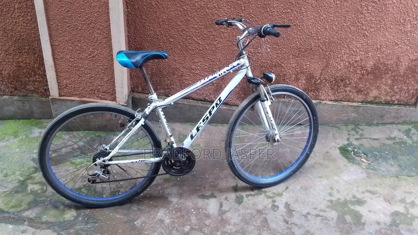 Mountain Bicycle