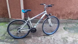 Mountain Bicycle