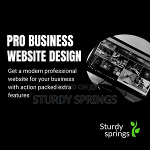 Pro Website Design