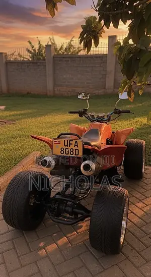 Motorcycle 2009 Orange