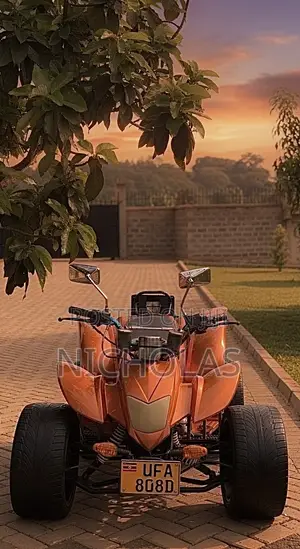 Motorcycle 2009 Orange