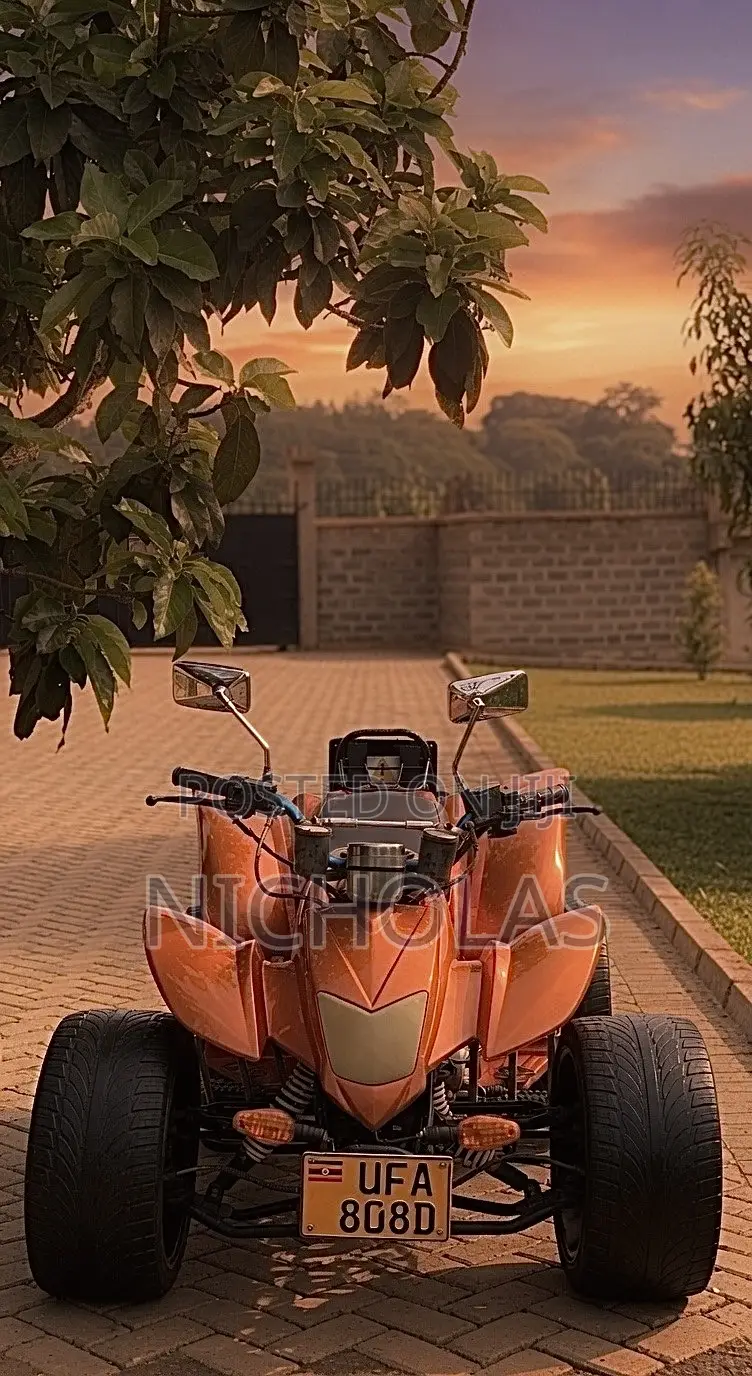 Motorcycle 2009 Orange