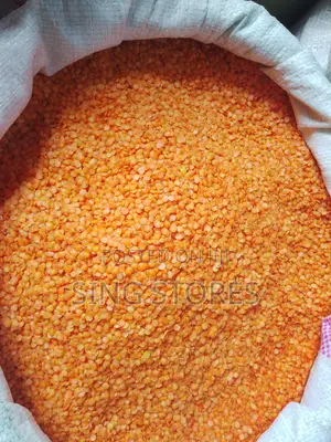 Adasi - Bayamtas 20kg