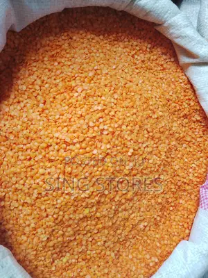 Adasi - Bayamtas 20kg