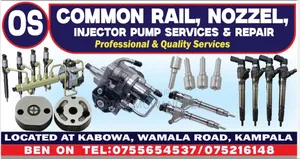 Common Rail,nozzel,injector Pump Services