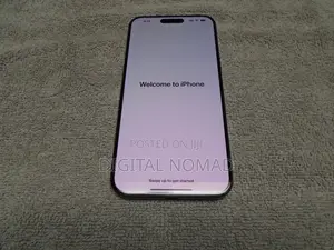 Apple iPhone 15 Pro Max 256 GB Gray