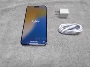 Apple iPhone 15 Pro Max 256 GB Gray
