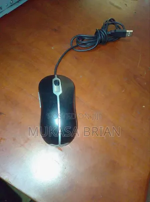 Computer Mouse
