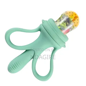 Silicone Baby Fruit Feeder Teething Toy
