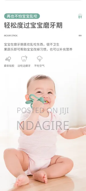 Silicone Baby Fruit Feeder Teething Toy