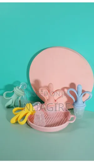 Silicone Baby Fruit Feeder Teething Toy