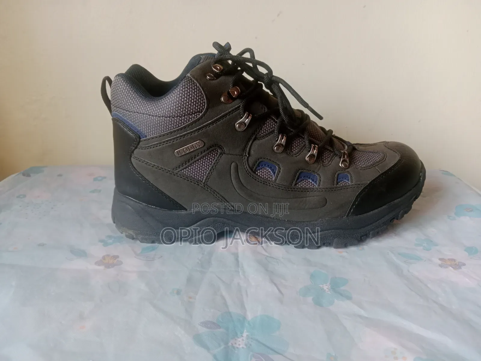 Mountain Adventurer Shoes