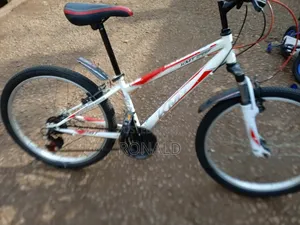 Bike Size 24 With Front Suspension