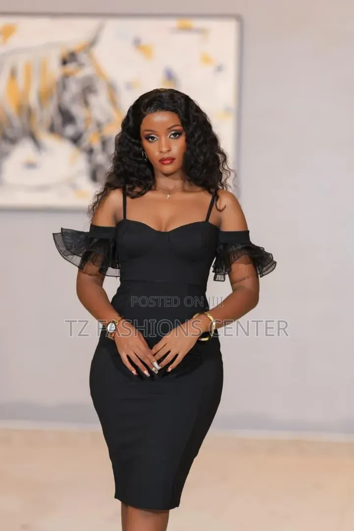 Ladies Party Dresses