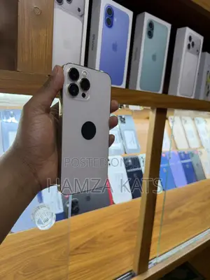 Apple iPhone 13 Pro Max 256 GB Gold