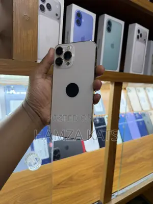 Apple iPhone 13 Pro Max 256 GB Gold