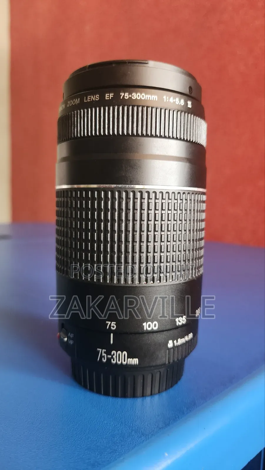 Canon 75-300mm Lens